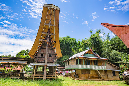 large toraja rice barn with traditional tongkonan roof, near "modern" house, alang, rice granary, rice-barn, tana toraja, tongkonan roof, village