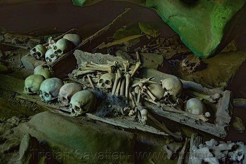 latea cave burial site - human bones and skulls on ancient coffin, burial site, cemetery, coffins, graveyard, gua latea, human bones, human skulls, latea burial caves, latea cave, skeletons