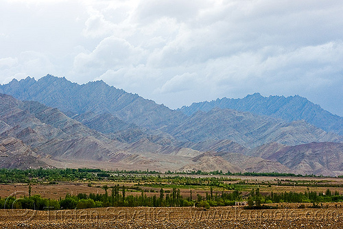 leh valley - ladakh (india), ladakh, leh valley, mountains