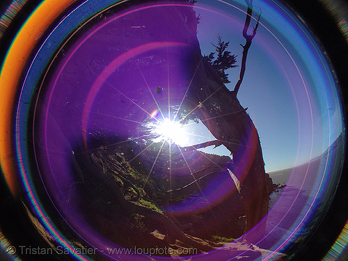 lens flare caused by sun in the frame, fisheye, lens flare, optical, photography, sun