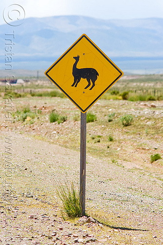 LLama crossing sign, altiplano, argentina, llama crossing, llama sign, lozenge, noroeste argentino, pampa, quebrada de humahuaca, road sign