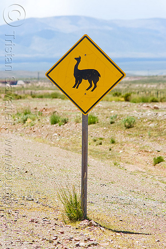 llama crossing sign, altiplano, argentina, llama crossing, llama sign, lozenge, noroeste argentino, pampa, quebrada de humahuaca, road sign