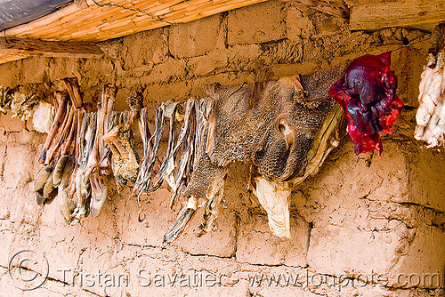 llama organs drying on a line, abra el acay, acay pass, argentina, drying, feet, goat, halal, llama meat, mutton, noroeste argentino, raw meat, stomac, tripe meat