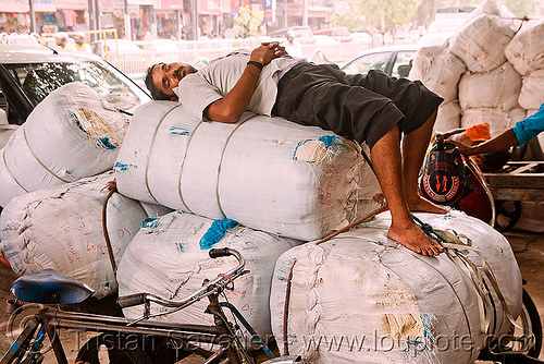 load bearer sleeping - delhi (india), load bearer, man, napping, sleeping, wallah