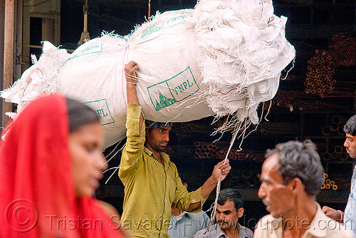 load bearer wallah carrying a bundle of bags - delhi (india), bags, carrying on the head, delhi, freight, load bearer, man, wallah