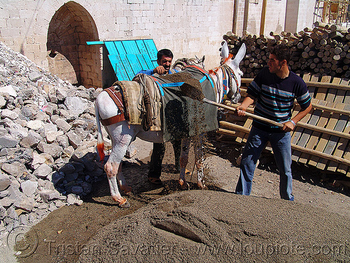 loading sand on donkey, asinus, construction workers, donkey, equus, gravel, hauling, kurdistan, loading, mardin, men, sand, transporting, working animal
