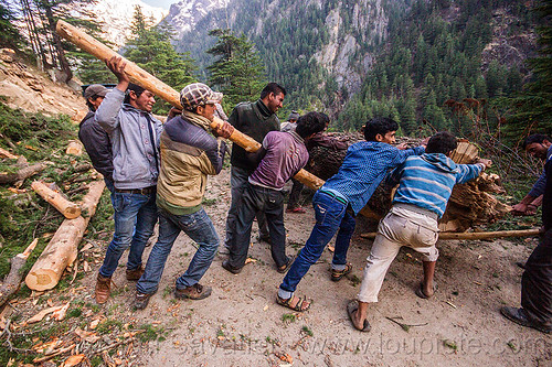 lumberjacks using lever to roll tree log (india), bhagirathi valley, lumberjacks, men, mountain road, mountains, rolling, tree log, tree logging, trunk, workers, working