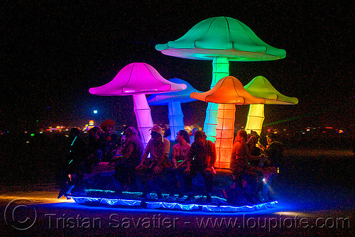 magic mushrooms, art car, burning man art cars, burning man at night, glowing, magic mushrooms, mushroom patch, mutant vehicles