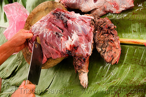 malayan porcupine prepared for barbecue - meat - butcher (laos), butcher knife, cleaver, endangered species, head, hystrix brachyura, malayan porcupine, paw, raw meat, rodent, threatened species