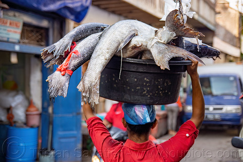 man carrying large fishes at fish market, fish market, seafood, surabaya