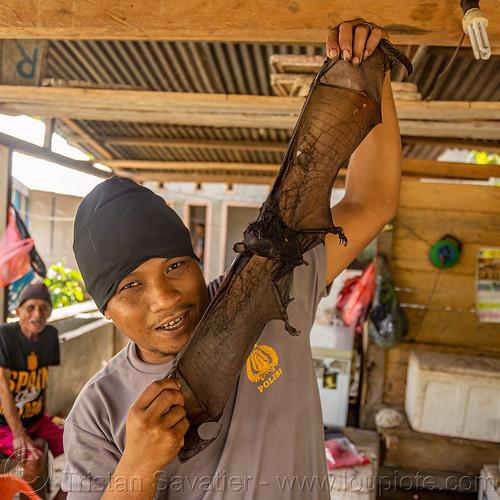 man holding dead fruit bat, bada valley, bat meat, bat wings, black flying foxes, black fruit bats, bushmeat, dead bat, meat market, meat shop, pteropus alecto, raw meat, wildlife