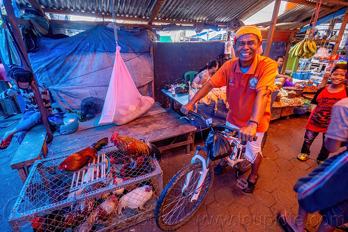 man on bicycle at rantepao market, tana toraja