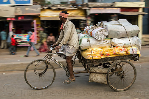 man riding freight tricycle (india), bags, cargo tricycle, cargo trike, freight tricycle, freight trike, load bearer, man, moving, riding, sacks, transport, transportation, transporting, varanasi, wallah