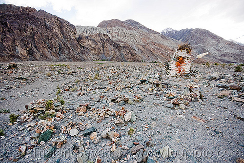 mandas - nubra valley - ladakh (india), ladakh, mandas, mountains, nubra valley
