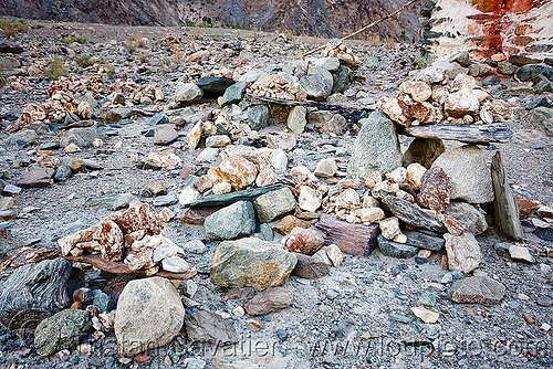 mandas - nubra valley - ladakh (india), ladakh, mandas, nubra valley