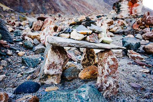 mandas - nubra valley - ladakh (india), ladakh, mandas, nubra valley