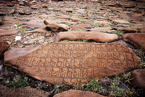 mani stone - ladakh (india), carved, hemis gompa, ladakh, mani stones, mani wall, prayer stone wall, prayer stones, tibetan monastery