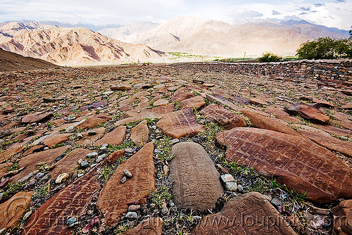 mani stones - ladakh (india), carved, hemis gompa, ladakh, mani stones, mani wall, prayer stone wall, prayer stones, tibetan monastery