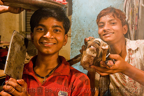 meat shop - goat meat - butchers - delhi (india), brothers, butcher, chevon, delhi, goat head, goat meat, halal meat, meat market, meat shop, mutton, raw meat