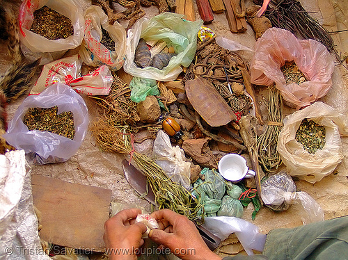 medicinal plants and roots - medicine man - vietnam, healer, healing, hill tribes, indigenous, man, medicinal herbs, medicinal plants, medicine, mèo vạc, vietnam shaman