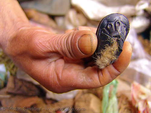 medicine man's most precious treasure - vietnam, hand, healer, healing, hill tribes, indigenous, man, medicine, mèo vạc, vietnam shaman