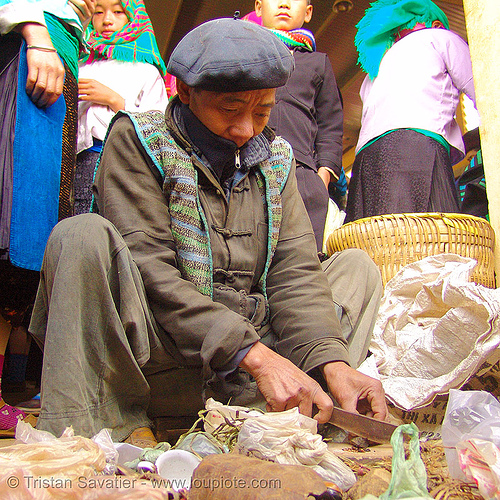 medicine man - vietnam, healer, healing, hill tribes, indigenous, man, medicine, mèo vạc, vietnam shaman