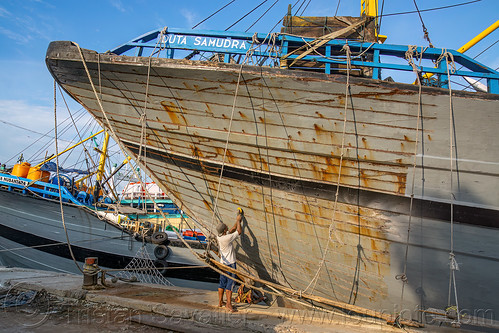 men repainting pinisi wooden boat hull, boats, bugis schooners, dock, harbor, men, painting, pinisi, ships, surabaya, suspended scaffold