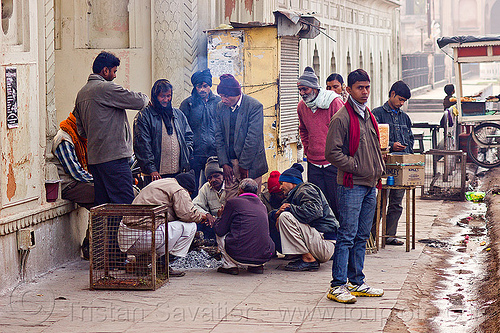 men warming up around small bonfire on sidewalk - lucknow (india), bonfire, cold, curb, fire, group, lucknow, men, sidewalk, smoke, winter