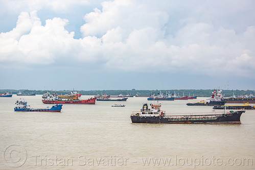 merchant ships moored near surabaya, boat, cargo ship, madura strait, merchant ship, mooring, surabaya