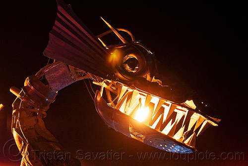 metal dragon head with fire, animated, art car, burning man art cars, burning man at night, fire, kinetic, mutant vehicles, sculpture, teeth, tin pan dragon