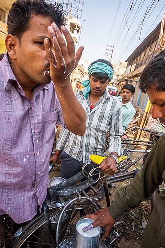 milk merchant tasting raw milk (india), doodh-wallah, men, milk man, milk market, street seller, tasting, varanasi