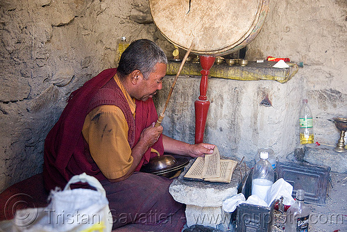 monk in tangtse gompa (monastery) - road to pangong lake - ladakh (india), buddhism, buddhist, drun, gompa, ladakh, monk, prayers, tangtse, tibetan monastery