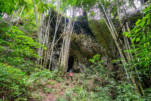 mouth of natural cave in bamboo forest, tana toraja