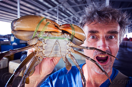 mud crab with big claws, borneo, claws, fish market, food, malaysia, man, mangrove crab, mud crab, portunidae, scylla crab, seafood, self portrait, selfie, swimmer crab