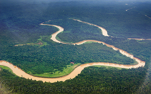 muddy river meanders in the jungle, aerial photo, bend, borneo, jungle, malaysia, meanders, muddy river, rain forest, winding river