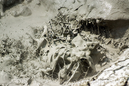 mudpot - bubbling hot mud pool, boiling, bubbling, geothermal, lassen volcanic national park, mud pool, mudpot