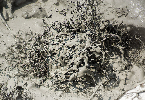 mudpot - hot mud pool - lassen volcanic national park, boiling, bubbling, geothermal, lassen volcanic national park, mud pool, mudpot