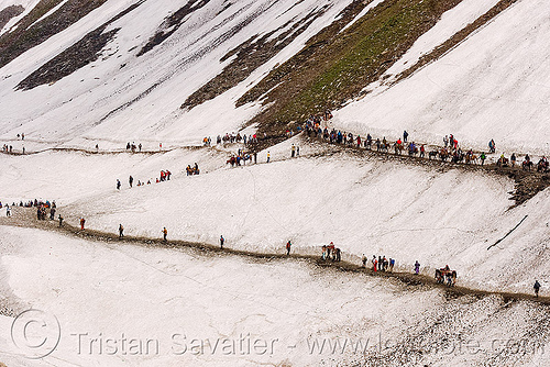 mules and pilgrims on the trail - amarnath yatra (pilgrimage) - kashmir, amarnath yatra, glacier, hindu pilgrimage, kashmir, mountain trail, mountains, pilgrims, snow