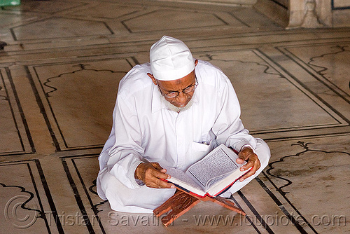 mulsim man reading the quran in mosque - delhi (india), cross-legged, delhi, faith, holy book, islam, jama masjid, koran, man, mosque, muslim, praying, quraan, quran, reading, scholar, scriptures, sitting, studying, verses, مسجد جھان نما