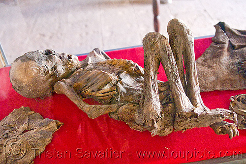 mummified corpse of a child, bolivia, cadaver, casa de la moneda, casa nacional de moneda, child, corpse, dead, human remains, potosí