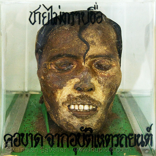 mummified head of unidentified male beheaded in car accident - forensic medicine museum, โรงพยาบาลศิริราช - siriraj hospital, bangkok (thailand), bangkok, beheaded, body part, cadaver, corpse, dead, death, decapitated, forensic medicine museum, human head, human remains, real severed head, siriraj hospital, thailand, บางกอก, โรงพยาบาลศิริราช