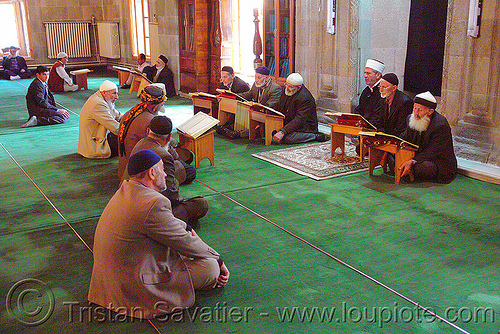 muslim men studying the quran in mosque, cross-legged, erzurum, faith, green carpet, holy book, imams, islam, koran, men, mosque, muslim, praying, quraan, quran, reading, scholars, scriptures, sitting, verses