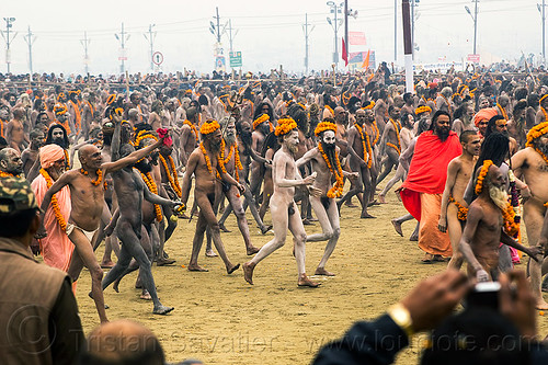 naga babas (naked hindu holy men) at the kumbh mela 2013 (india), crowd, flower necklaces, hindu pilgrimage, hinduism, holy ash, kumbh mela, marigold flowers, men, naga babas, naga sadhus, sacred ash, sadhu, triveni sangam, vasant panchami snan, vibhuti, walking