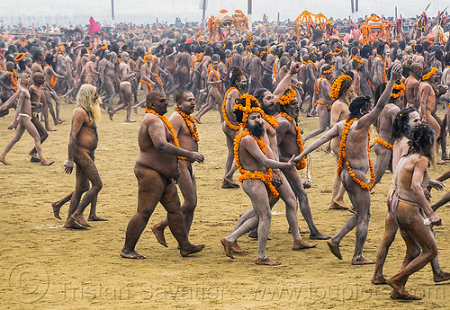 naga babas procession - kumbh mela 2013 (india), crowd, flower necklaces, hindu pilgrimage, hinduism, holy ash, kumbh mela, marigold flowers, men, naga babas, naga sadhus, sacred ash, sadhu, triveni sangam, vasant panchami snan, vibhuti, walking