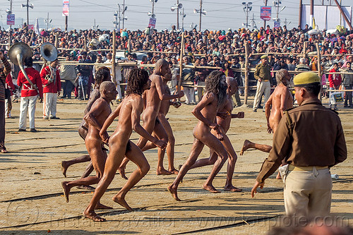 naga babas running after ritual bath at kumbh mela (india), crowd, hindu pilgrimage, hinduism, kumbh maha snan, kumbh mela, mauni amavasya, men, naga babas, naga sadhus, running, triveni sangam