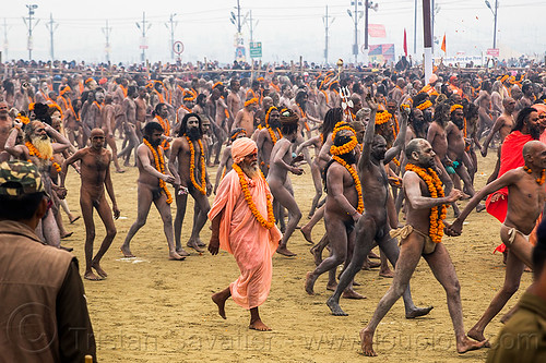 naga (naked) babas procession - kumbh mela (india), crowd, flower necklaces, hindu pilgrimage, hinduism, holy ash, kumbh mela, marigold flowers, men, naga babas, naga sadhus, sacred ash, sadhu, triveni sangam, vasant panchami snan, vibhuti, walking