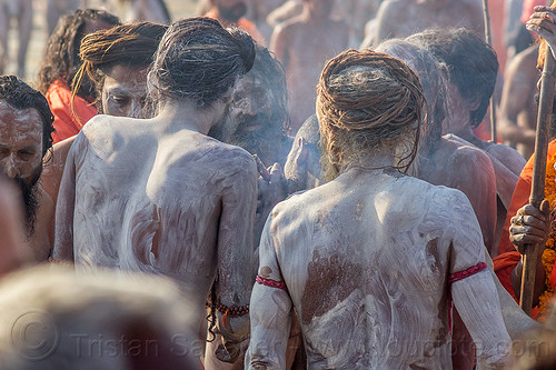 naga sadhus covered with vibhuti holy ash at kumbh mela (india), crowd, dreadlocks, hindu pilgrimage, hinduism, holy ash, kumbh maha snan, kumbh mela, mauni amavasya, men, naga babas, naga sadhus, sacred ash, smoke, smoking, triveni sangam, vibhuti