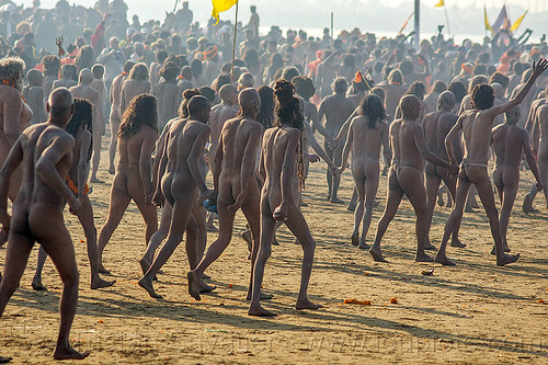 naga sadhus procession - kumbh mela (india), crowd, hindu pilgrimage, hinduism, holy ash, kumbh maha snan, kumbh mela, mauni amavasya, men, naga babas, naga sadhus, sacred ash, triveni sangam, vibhuti, walking