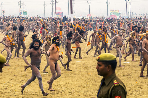 naked hindu devotees (naga babas) run toward the ganges river - kumbh mela 2013 (india), cop, crowd, flower necklaces, hindu pilgrimage, hinduism, holy ash, kumbh mela, marigold flowers, men, naga babas, naga sadhus, police officer, sacred ash, sadhu, triveni sangam, vasant panchami snan, vibhuti, walking