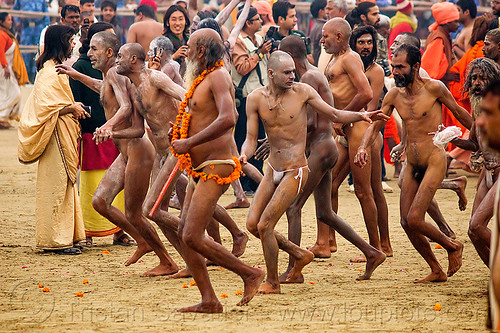 naked hindu devotees running after holy dip - kumbh mela (india), baba, crowd, hindu pilgrimage, hinduism, india, maha kumbh mela, men, running, sadhu, triveni sangam, vasant panchami snan, walking